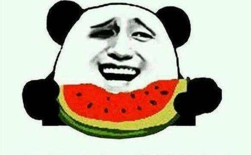 娱乐吃瓜大流量小生